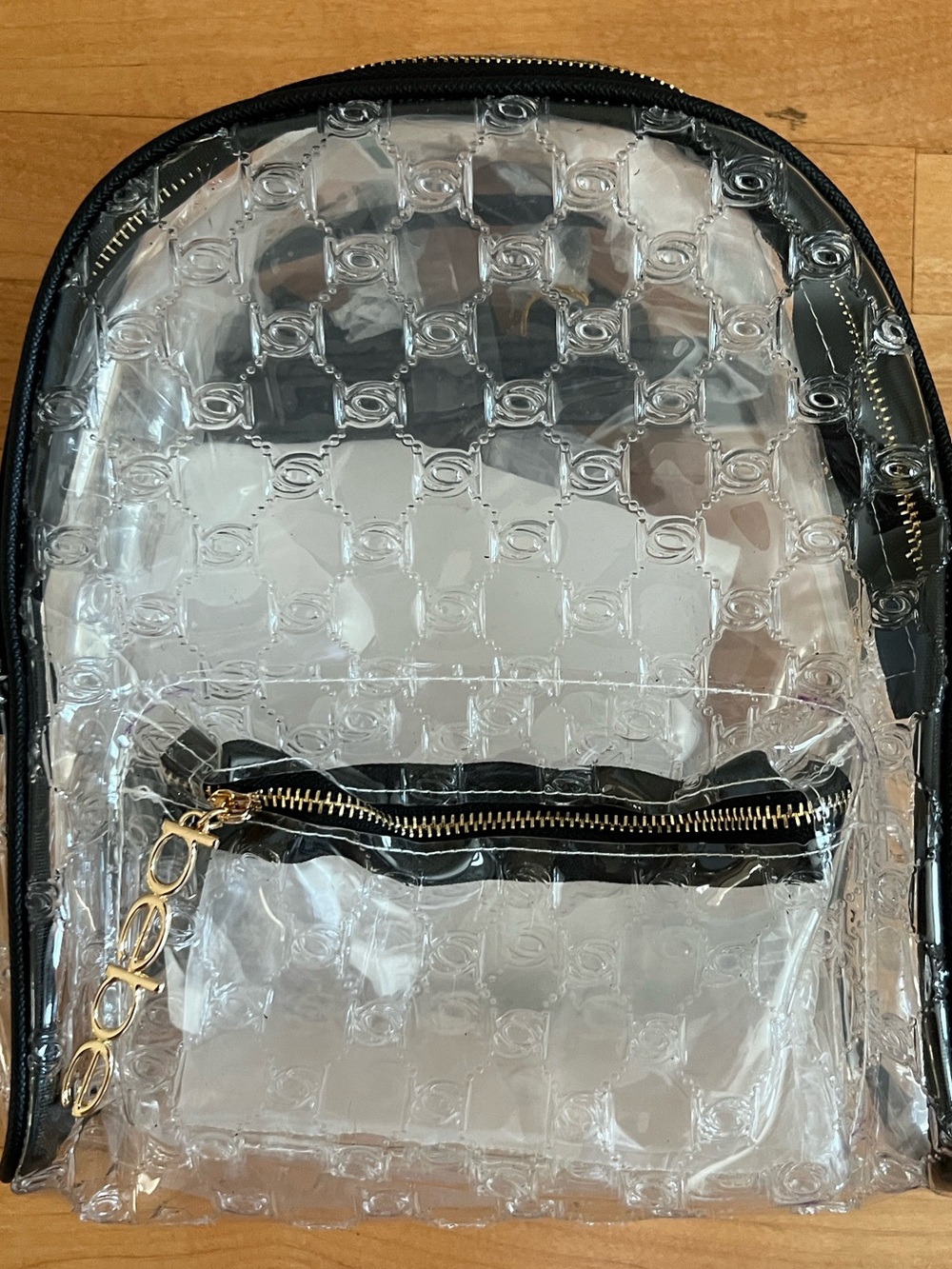 Bebe Clear Women's Backpack with Black Trim and Gold Accents - Picture 1 of 4
